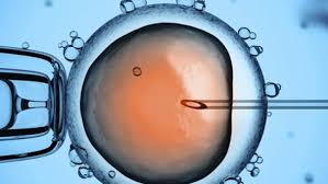 Embriyo Yapıştırıcısı Yöntemi