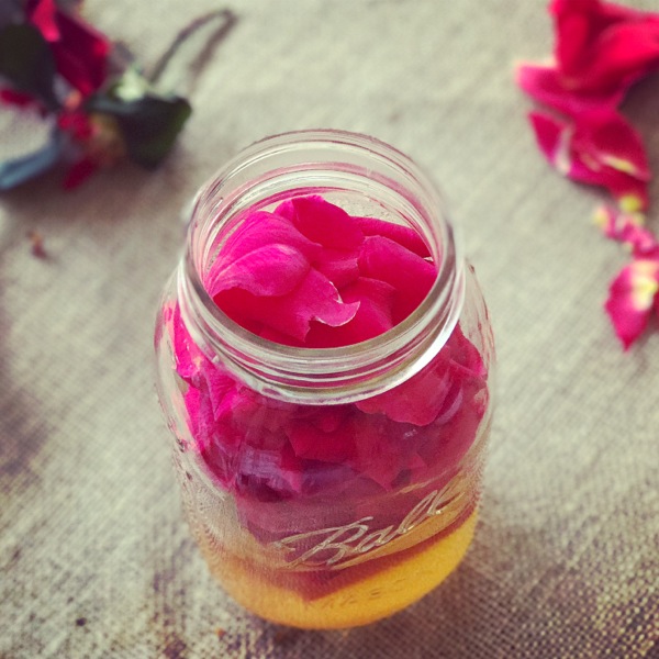 Making-rose-petal-vinegar.jpg