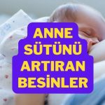 anne sütünü artıran besinler