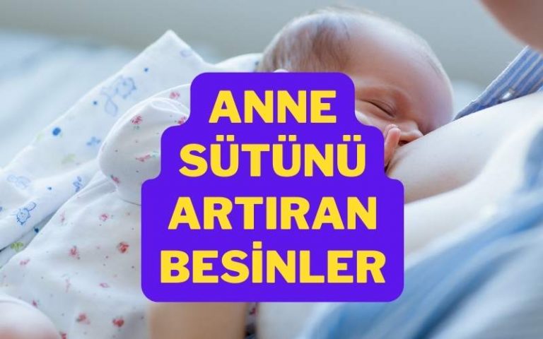 anne sütünü artıran besinler