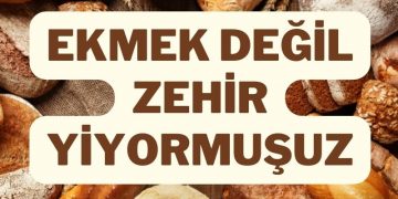 ekmek