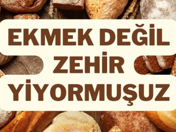 ekmek