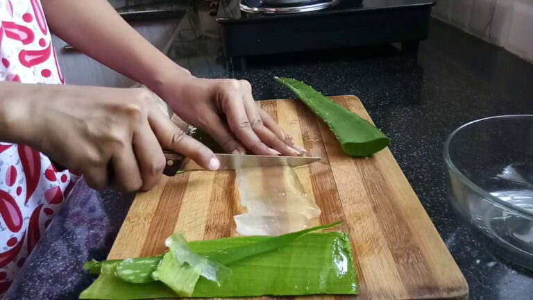 aloe vera bakımı