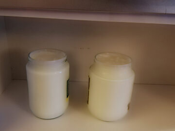 mutfak dolabında yoğurt mayalama