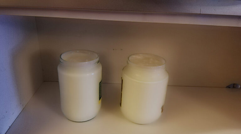 mutfak dolabında yoğurt mayalama