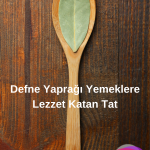 defne yaprağı