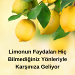 Limonun Faydaları Hiç Bilmediğiniz Yönleriyle Karşınıza Geliyor