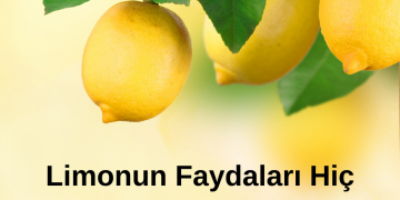 Limonun Faydaları Hiç Bilmediğiniz Yönleriyle Karşınıza Geliyor