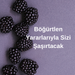 Böğürtlen Yararlarıyla Sizi Şaşırtacak