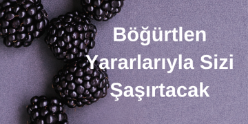 Böğürtlen Yararlarıyla Sizi Şaşırtacak