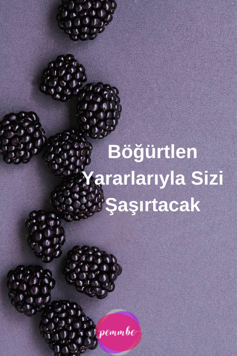 Böğürtlen Yararlarıyla Sizi Şaşırtacak