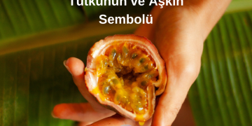 Çarkıfelek Meyvesi Tutkunun ve Aşkın Sembolü