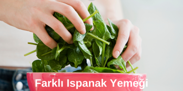 Farklı Ispanak Yemeği Tariflerini Keşfedin