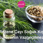 Rezene Çayı Soğuk Kış Günlerinin Vazgeçilmezi