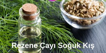 Rezene Çayı Soğuk Kış Günlerinin Vazgeçilmezi