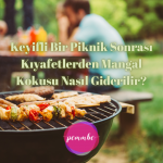 Mangal kokusu nasıl giderilir