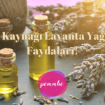 lavanta yağının faydaları