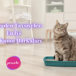 En İyi Kedi Kumu Markaları