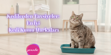 En İyi Kedi Kumu Markaları