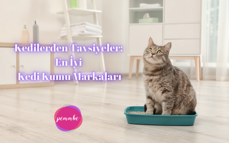 En İyi Kedi Kumu Markaları