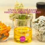 Civan Perçemi Kadın Hastalıklarına Faydaları