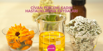 Civan Perçemi Kadın Hastalıklarına Faydaları