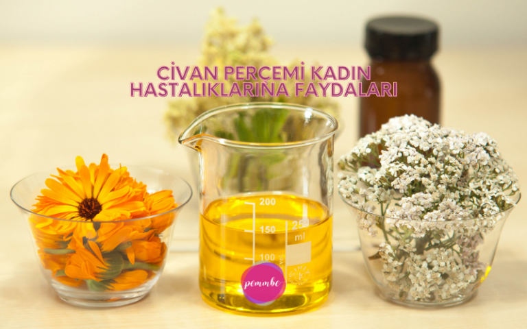 Civan Perçemi Kadın Hastalıklarına Faydaları