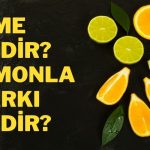 lime nedir