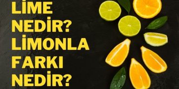 brokoli çorbası