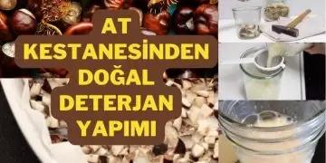 doğal deterjan