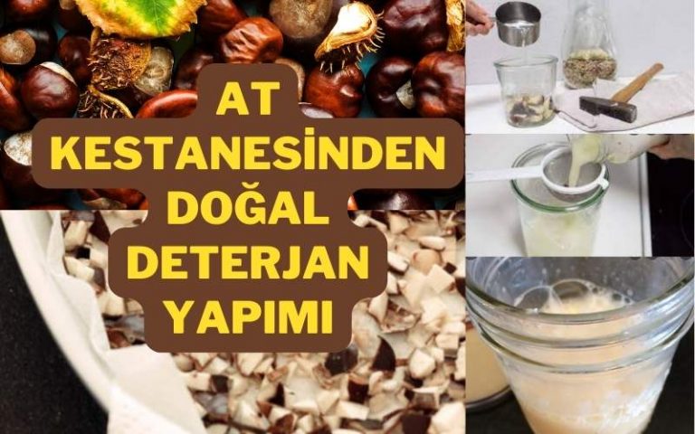 doğal deterjan