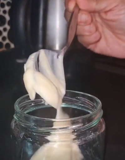 easy homemade mayonnaise
