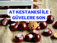 at kestanesi