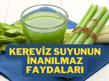 Kereviz suyu