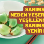 Sarımsak neden yeşerir