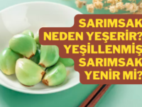 Sarımsak neden yeşerir