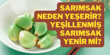 Sarımsak neden yeşerir