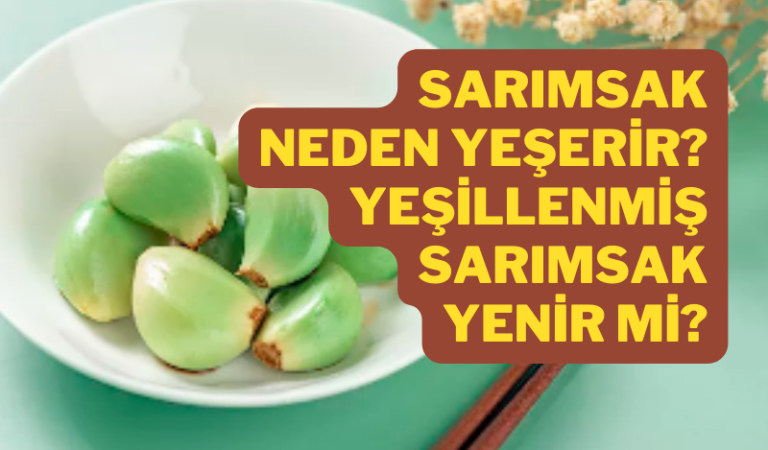 Sarımsak Neden Yeşerir? Yeşil Sarımsak Yenir mi?
