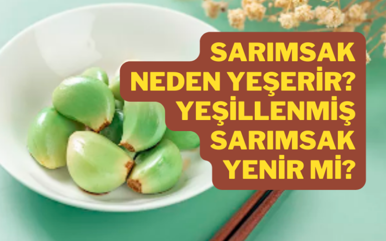 Sarımsak neden yeşerir