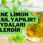 nane limon tarifi