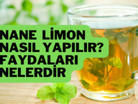nane limon tarifi