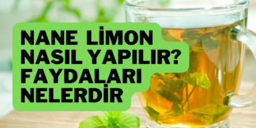 nane limon tarifi