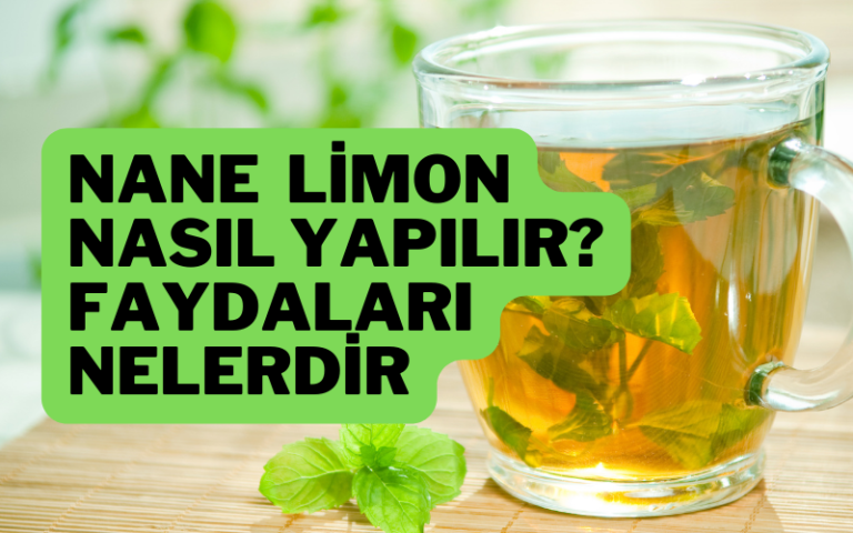 nane limon tarifi