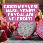 ejder meyvesi nasıl yenir