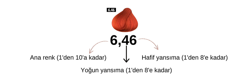 Saç Boyası Numaraları