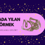 rüyada yılan görmek