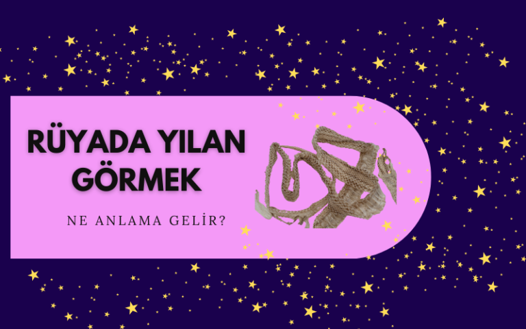 rüyada yılan görmek