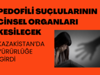 Leke Nasıl Çıkar