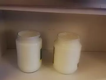 mutfak dolabında yoğurt mayalama