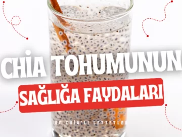 chia tohumu
